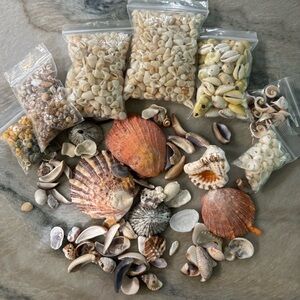 Mermaid treasure shells and Shell beads for your creative creations decor craft